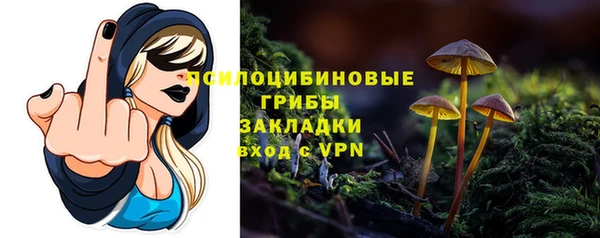гашик Саяногорск